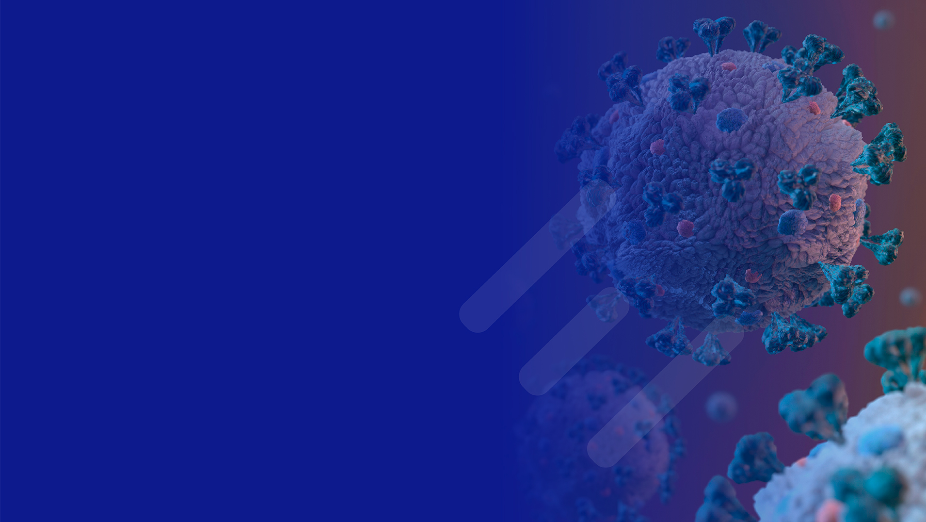 Examen preocupacional